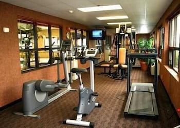 Hotel Hampton 3*